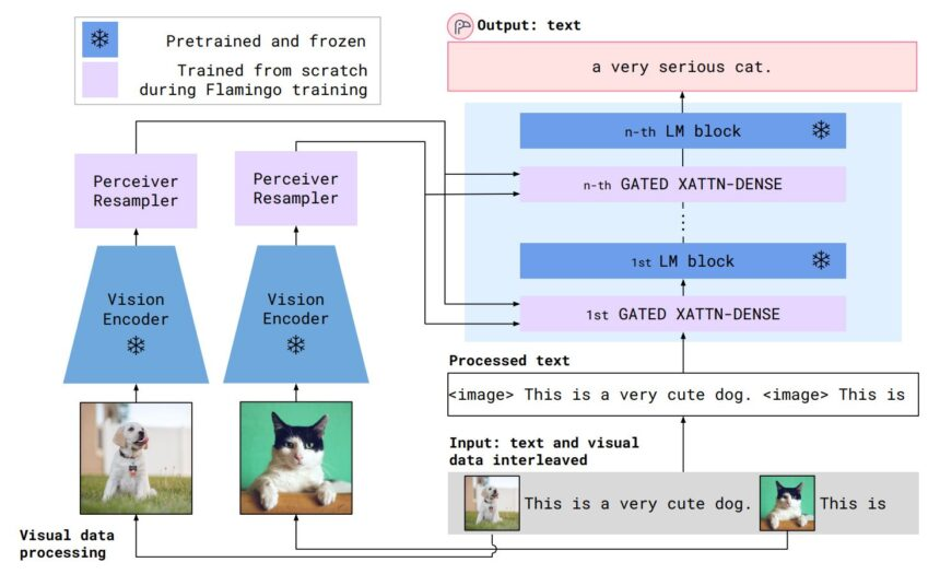 flamingo schema