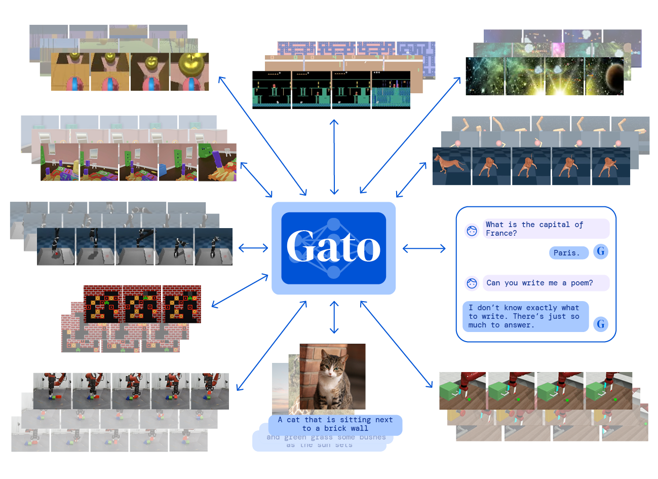 gato summary